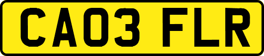 CA03FLR