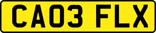CA03FLX