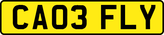 CA03FLY