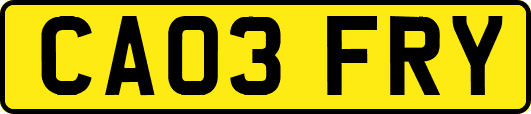 CA03FRY