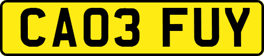 CA03FUY