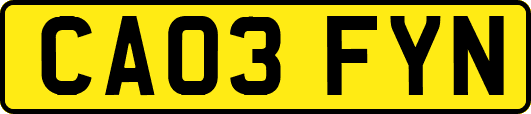 CA03FYN