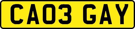 CA03GAY