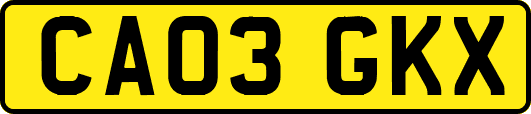 CA03GKX