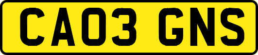 CA03GNS