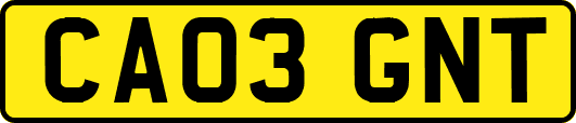 CA03GNT