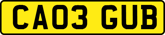 CA03GUB