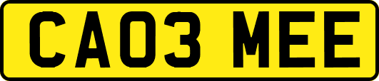 CA03MEE