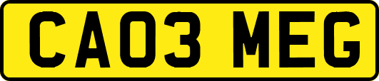 CA03MEG