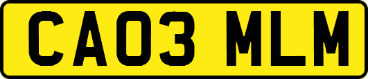 CA03MLM