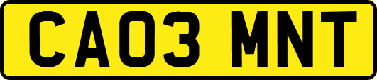 CA03MNT