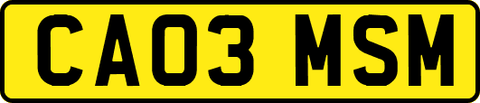 CA03MSM