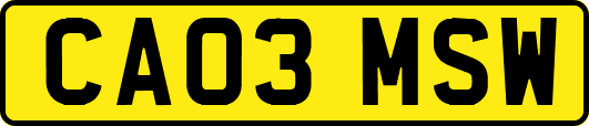 CA03MSW