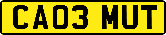 CA03MUT