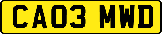 CA03MWD