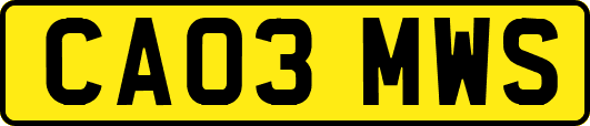 CA03MWS