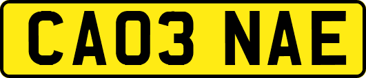 CA03NAE