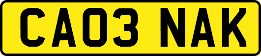 CA03NAK