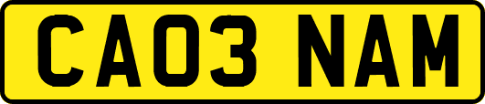 CA03NAM