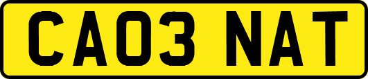 CA03NAT