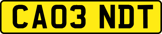 CA03NDT
