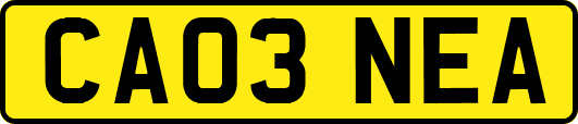 CA03NEA
