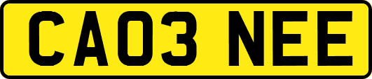 CA03NEE