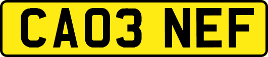 CA03NEF