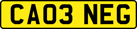 CA03NEG