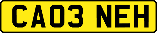 CA03NEH