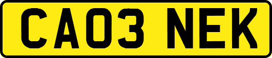 CA03NEK