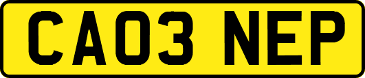 CA03NEP