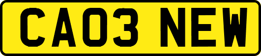 CA03NEW