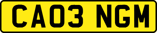 CA03NGM