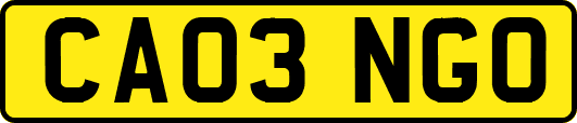 CA03NGO