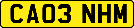 CA03NHM
