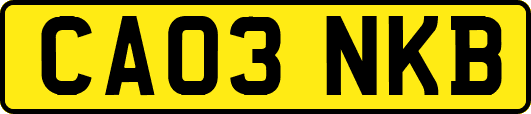 CA03NKB