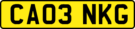 CA03NKG