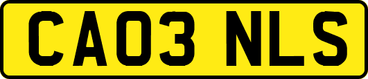 CA03NLS
