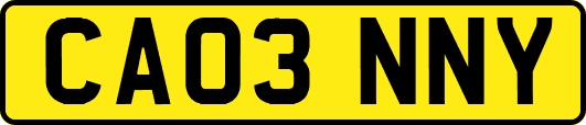 CA03NNY