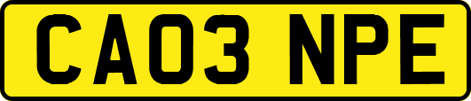 CA03NPE