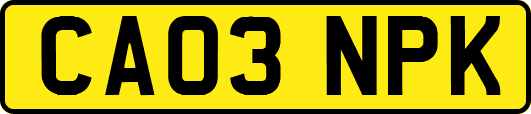 CA03NPK