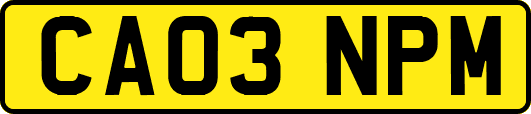 CA03NPM