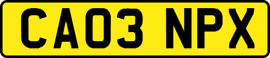 CA03NPX