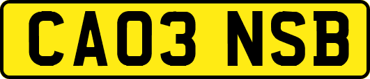 CA03NSB