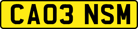 CA03NSM
