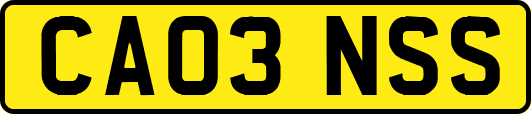 CA03NSS