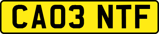 CA03NTF