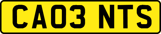 CA03NTS