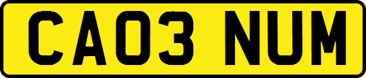 CA03NUM